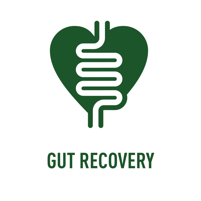 Gut Recovery