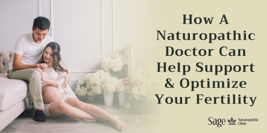 How a Naturopathic Doctor can help Support and Optimize your Fertility
