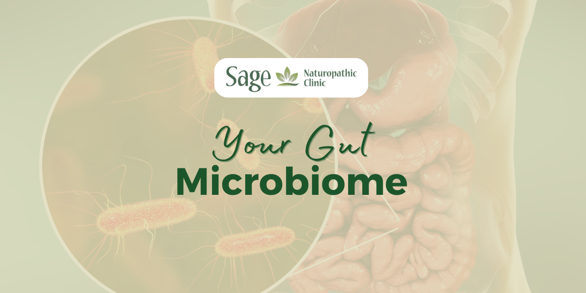 Your GUT Microbiome